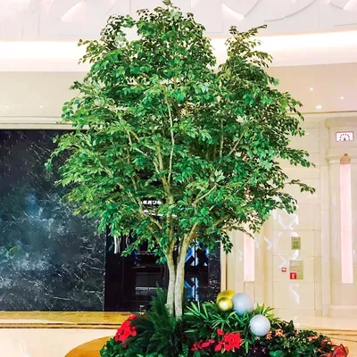 Kunstmatige Ficusbomen