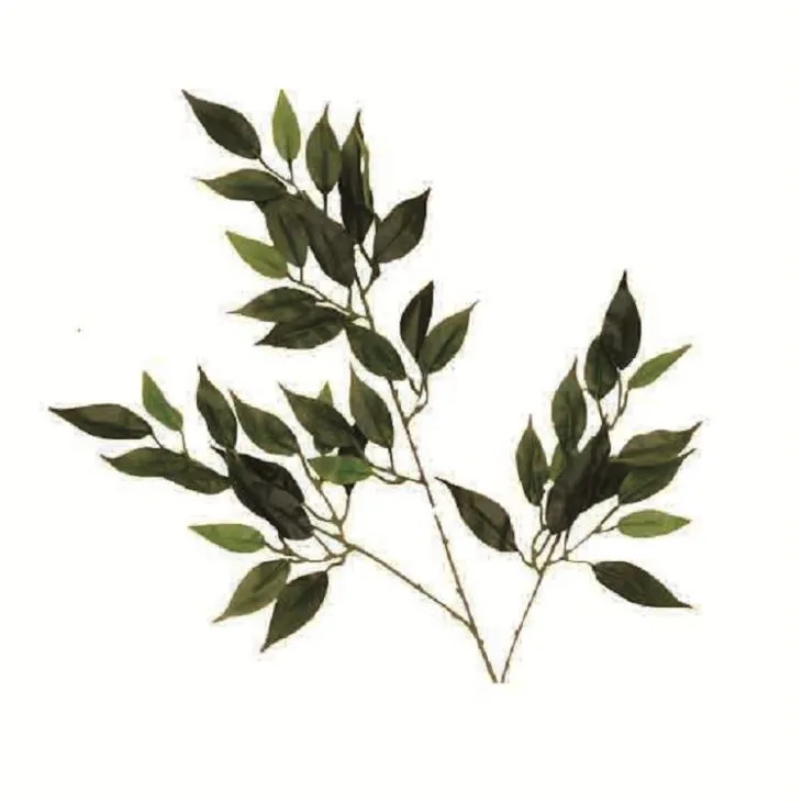 Faux Ficus Benjamin Tree