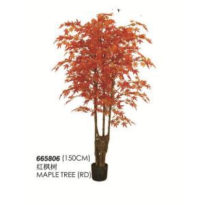 Kunstmatige Japanse esdoorn