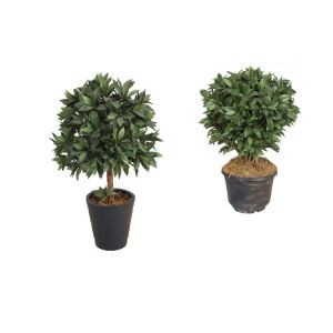 Kunstmatige Laurel boom