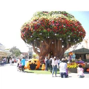 Giant Tree op Everland themapark