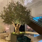 Kunstmatige oude mediterrane olijfboom