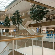 Kunstmatige banyanboom voor winkelcentrum