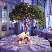 Kunstmatige eucalyptusboom